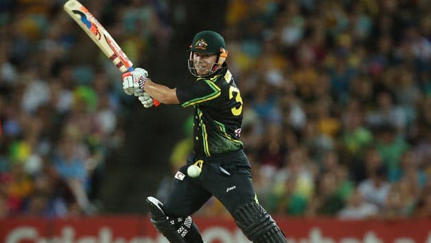 David Warner David Warner
