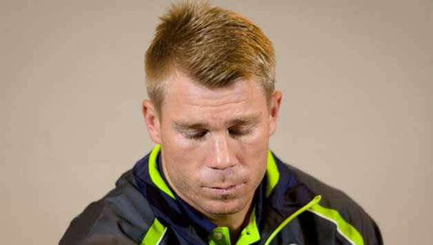 David Warner David Warner