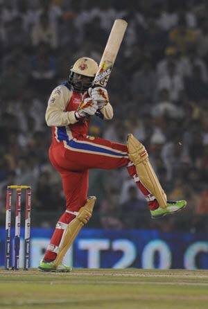 Chris Gayle Bangalore Chris Gayle Bangalore