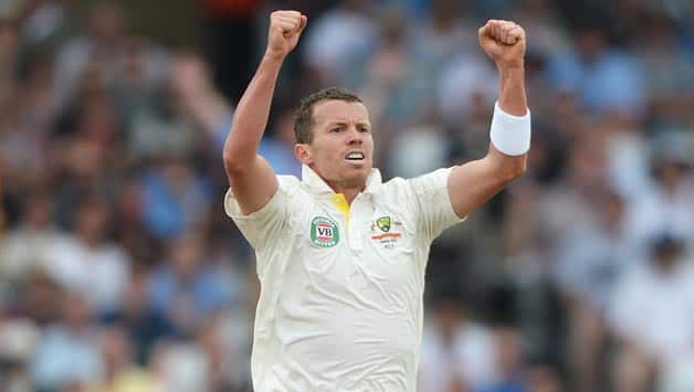 Ashes 2013: Peter Siddle stood up when it counted, says Darren Lehmann Ashes 2013: Peter Siddle stood up when it counted, says Darren Lehmann